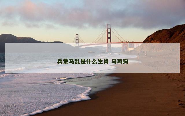 兵荒马乱是什么生肖 马鸡狗