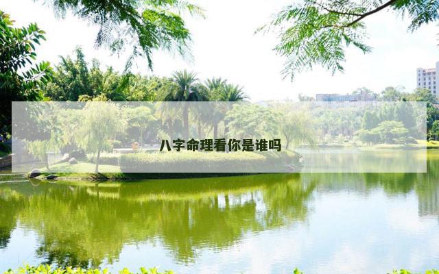 八字命理看你是谁吗