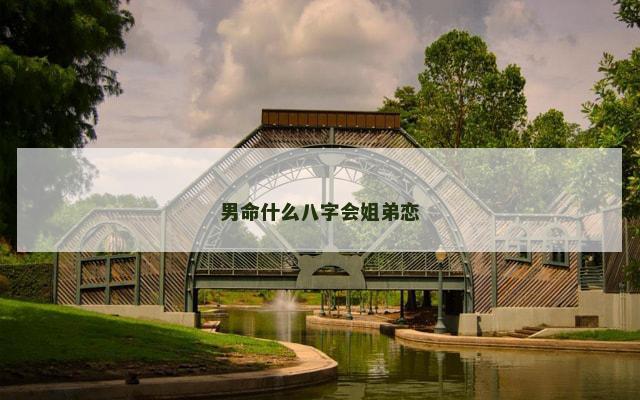 男命什么八字会姐弟恋