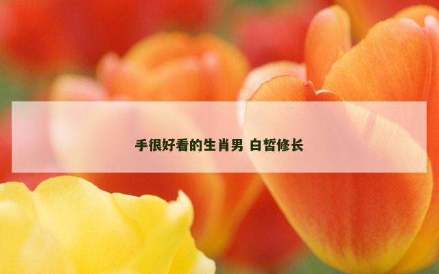 手很好看的生肖男 白皙修长