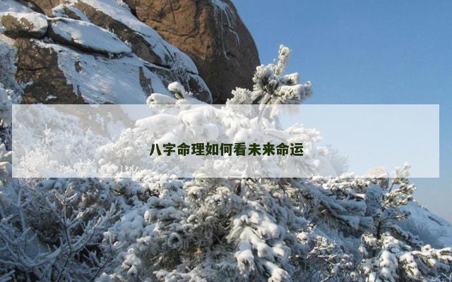 八字命理如何看未来命运