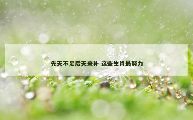先天不足后天来补 这些生肖最努力