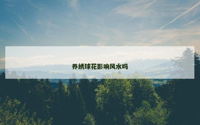 养绣球花影响风水吗