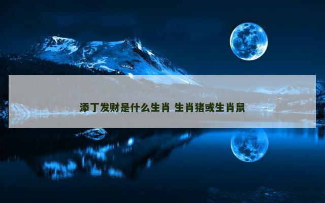 添丁发财是什么生肖 生肖猪或生肖鼠