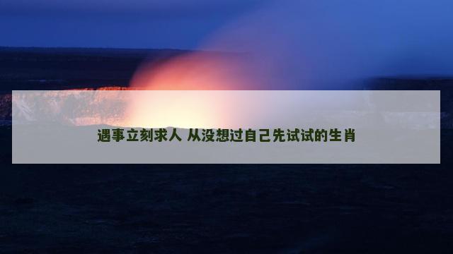 遇事立刻求人 从没想过自己先试试的生肖