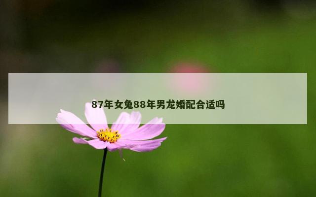 87年女兔88年男龙婚配合适吗