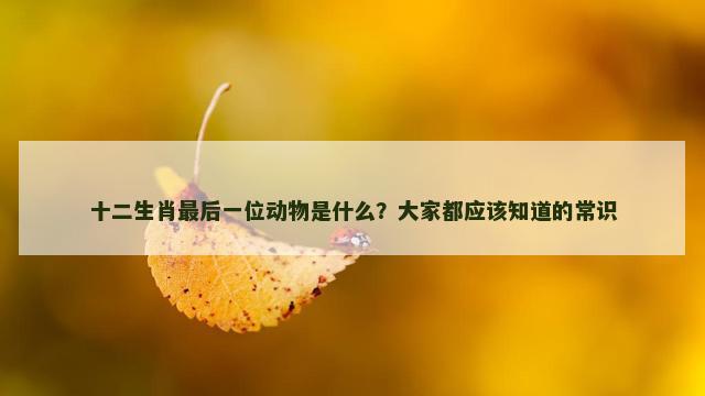 十二生肖最后一位动物是什么？大家都应该知道的常识