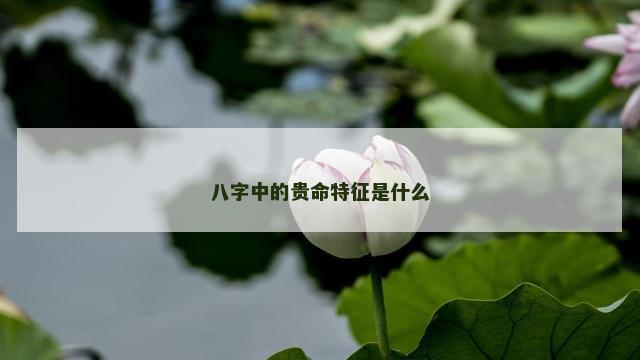 八字中的贵命特征是什么
