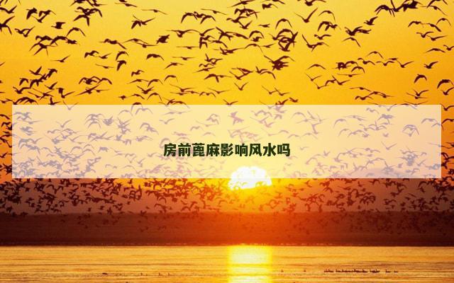 房前蓖麻影响风水吗