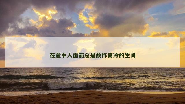 在意中人面前总是故作高冷的生肖