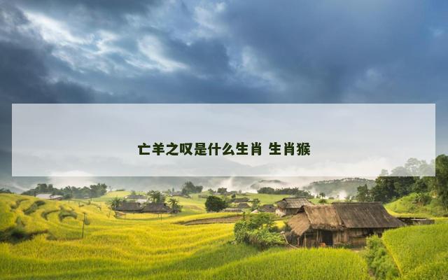 亡羊之叹是什么生肖 生肖猴