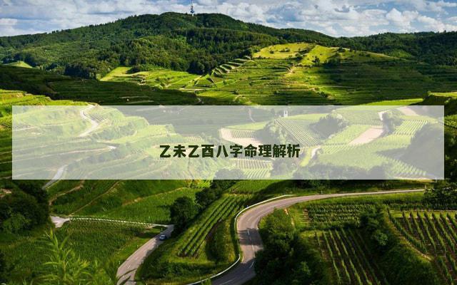 乙未乙酉八字命理解析
