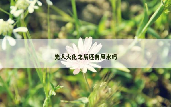 先人火化之后还有风水吗