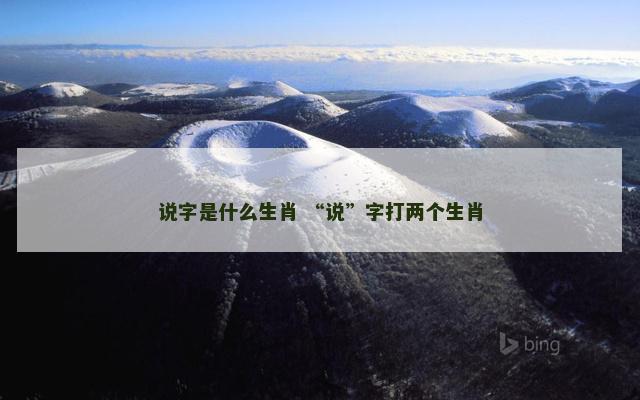 说字是什么生肖 “说”字打两个生肖