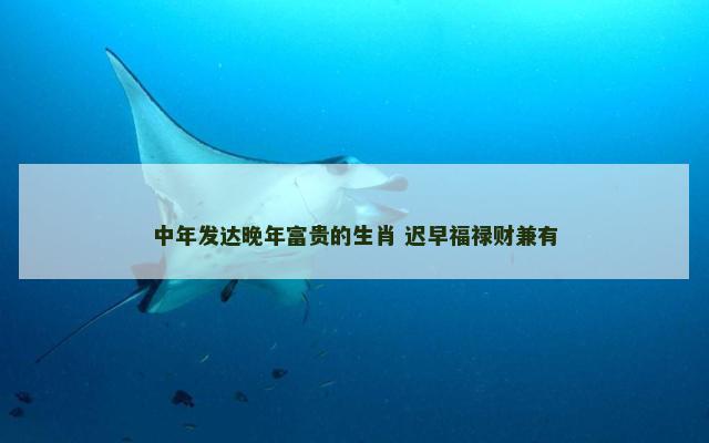 中年发达晚年富贵的生肖 迟早福禄财兼有