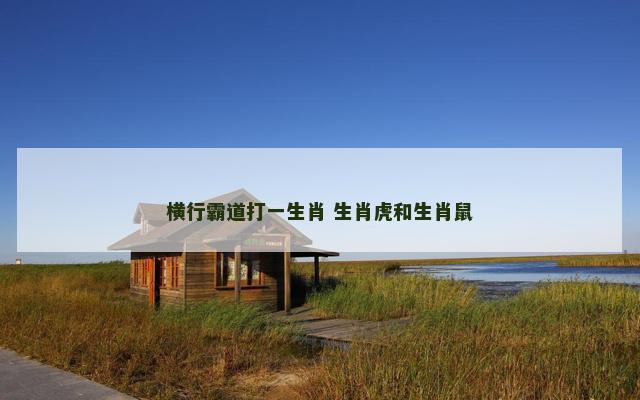 横行霸道打一生肖 生肖虎和生肖鼠