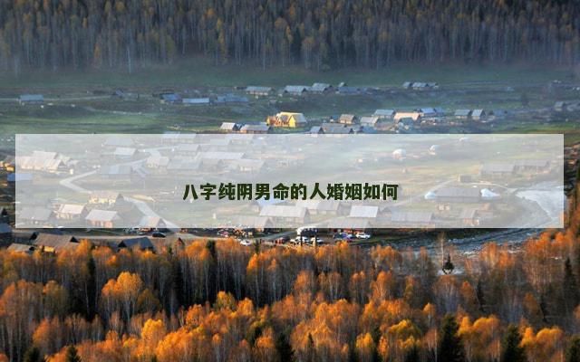八字纯阴男命的人婚姻如何 八字纯阴男命的人婚姻如何