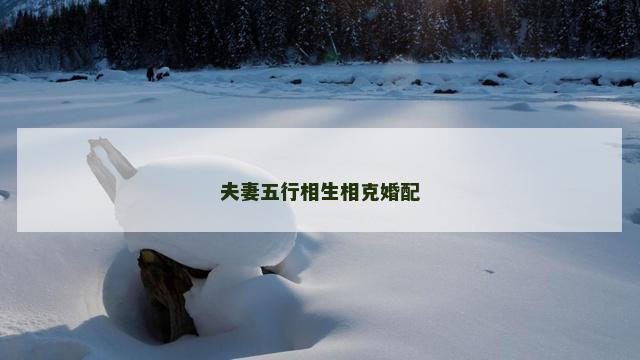 夫妻五行相生相克婚配 夫妻五行相生相克婚配