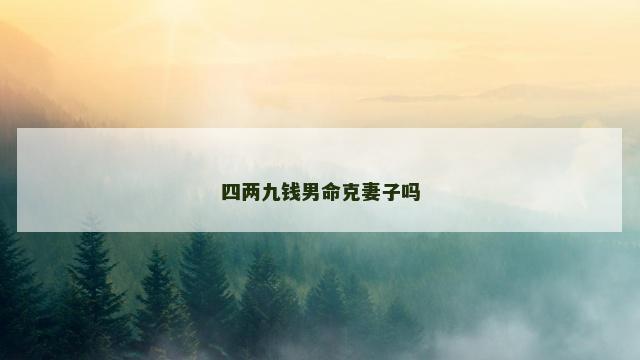 四两九钱男命克妻子吗