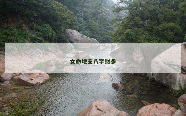 女命地支八字财多