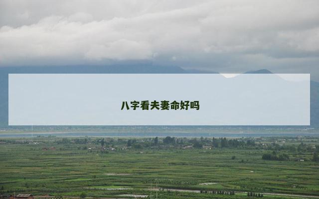 八字看夫妻命好吗