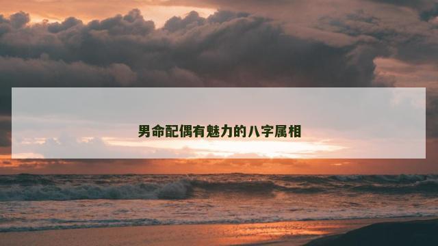 男命配偶有魅力的八字属相