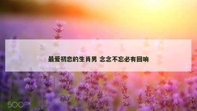 最爱初恋的生肖男 念念不忘必有回响