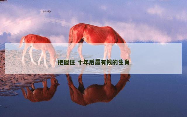 把握住 十年后最有钱的生肖
