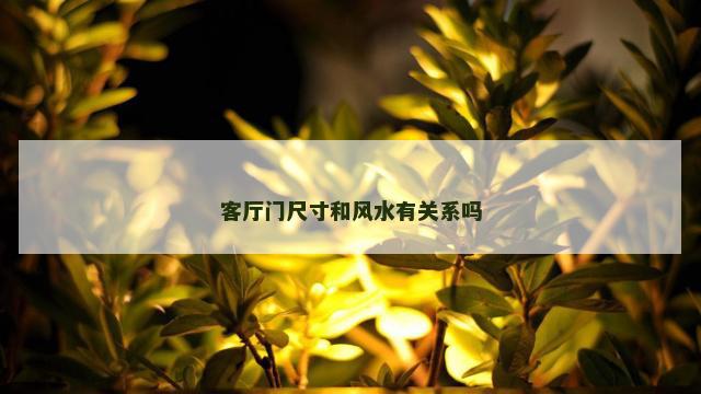 客厅门尺寸和风水有关系吗