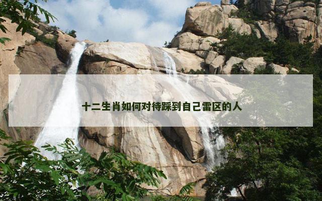 十二生肖如何对待踩到自己雷区的人