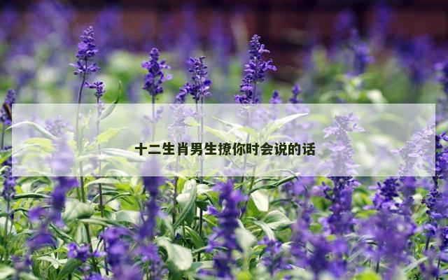 十二生肖男生撩你时会说的话