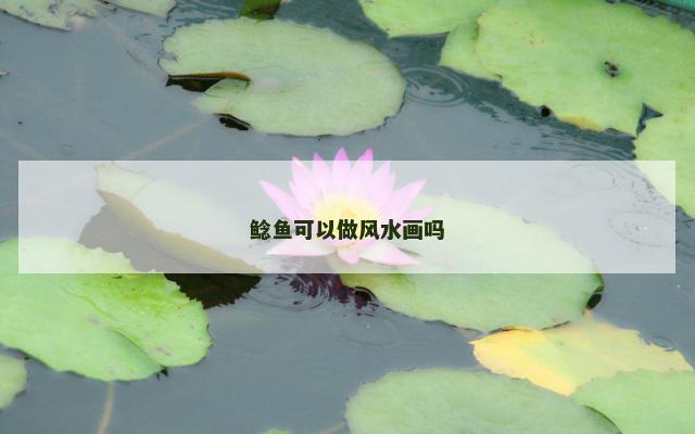 鲶鱼可以做风水画吗