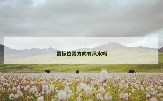 鼠标位置方向有风水吗