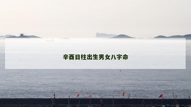 辛酉日柱出生男女八字命