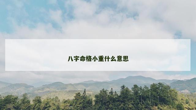 八字命格小重什么意思