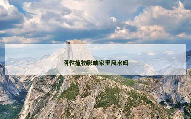 阴性植物影响家里风水吗