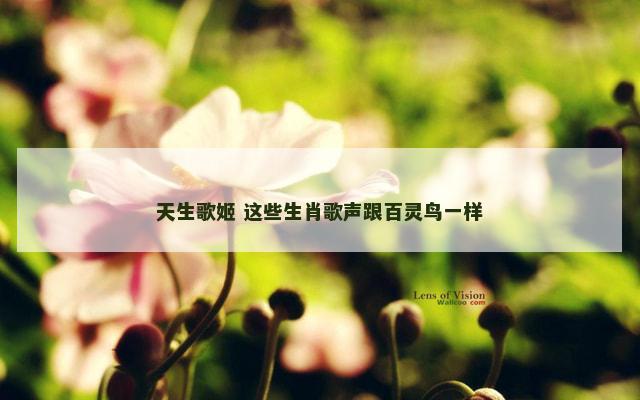 天生歌姬 这些生肖歌声跟百灵鸟一样