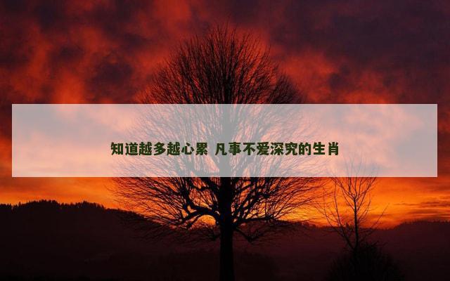 知道越多越心累 凡事不爱深究的生肖
