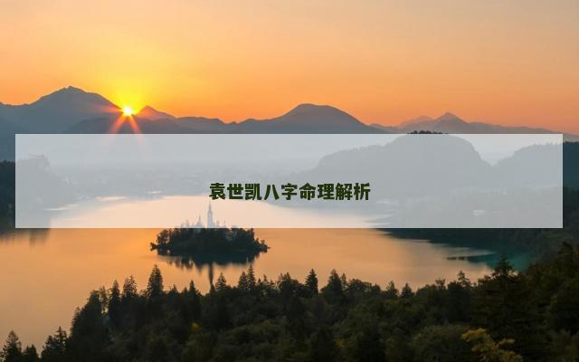 袁世凯八字命理解析