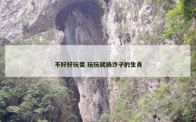 不好好玩耍 玩玩就扬沙子的生肖