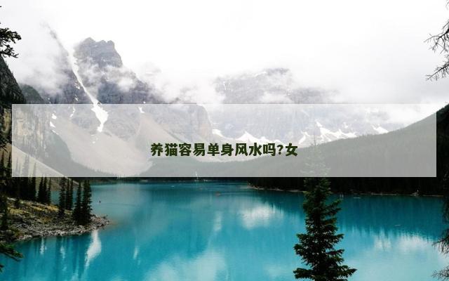 养猫容易单身风水吗?女