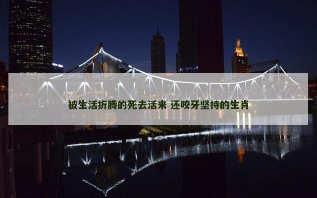 被生活折腾的死去活来 还咬牙坚持的生肖