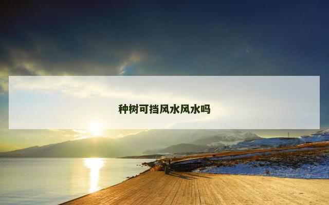 种树可挡风水风水吗