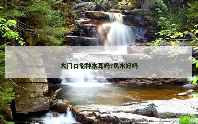 大门口能种木耳吗?风水好吗