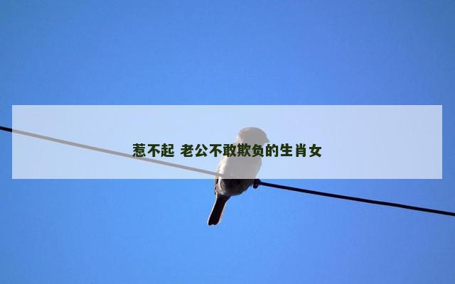 惹不起 老公不敢欺负的生肖女