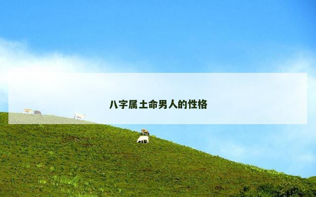 八字属土命男人的性格 八字属土命男人的性格