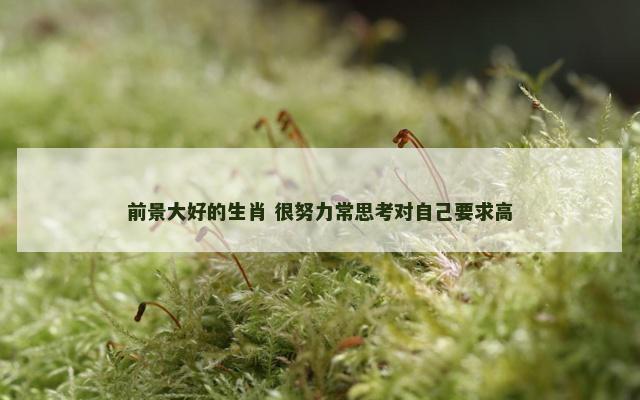 前景大好的生肖 很努力常思考对自己要求高