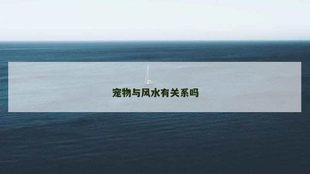 宠物与风水有关系吗