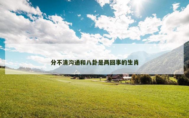 分不清沟通和八卦是两回事的生肖