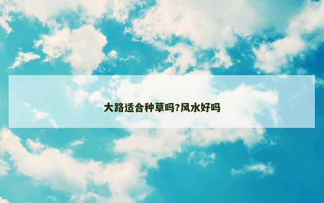 大路适合种草吗?风水好吗